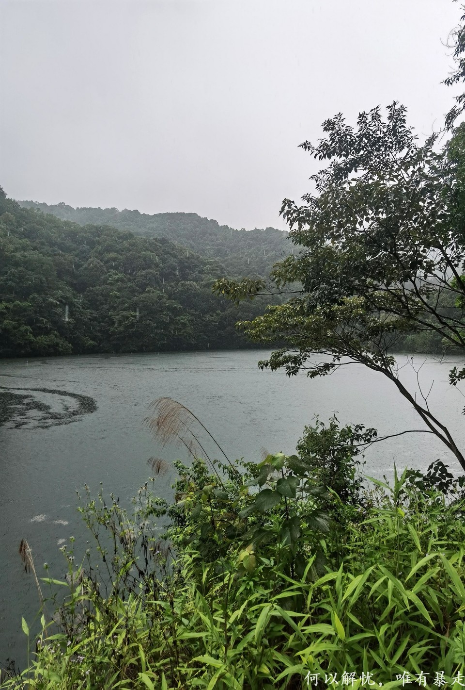 万绿湖20220806 (28)