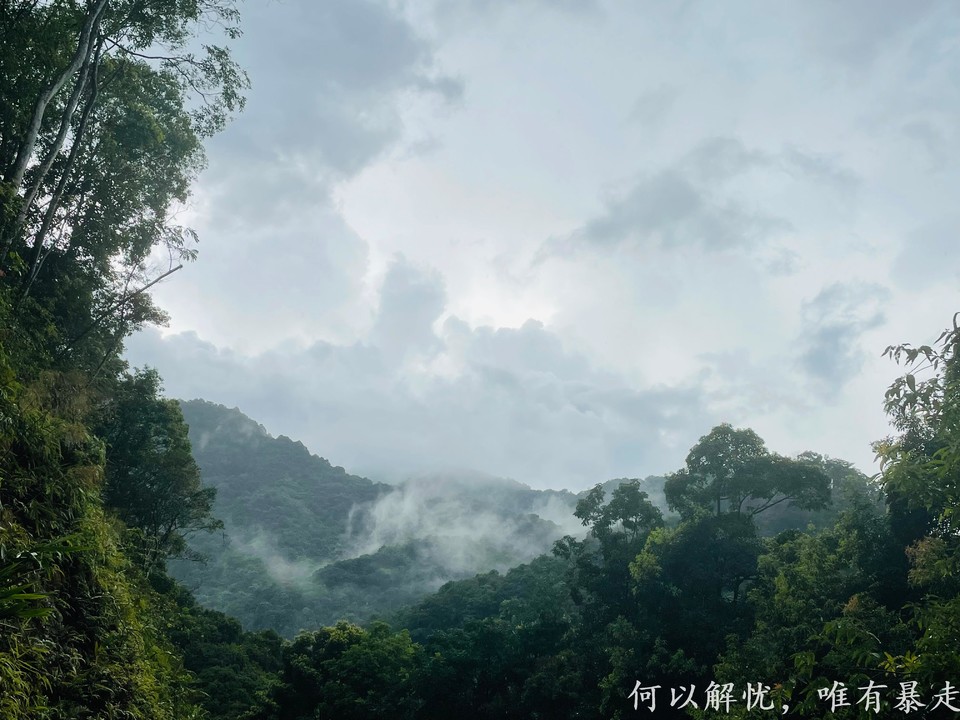 万绿湖20220806 (32)