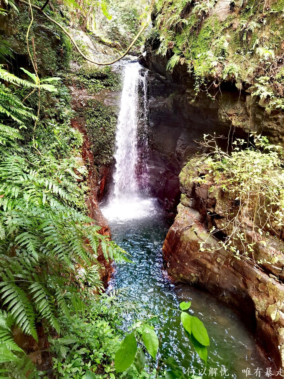 万绿湖20220806 (30)