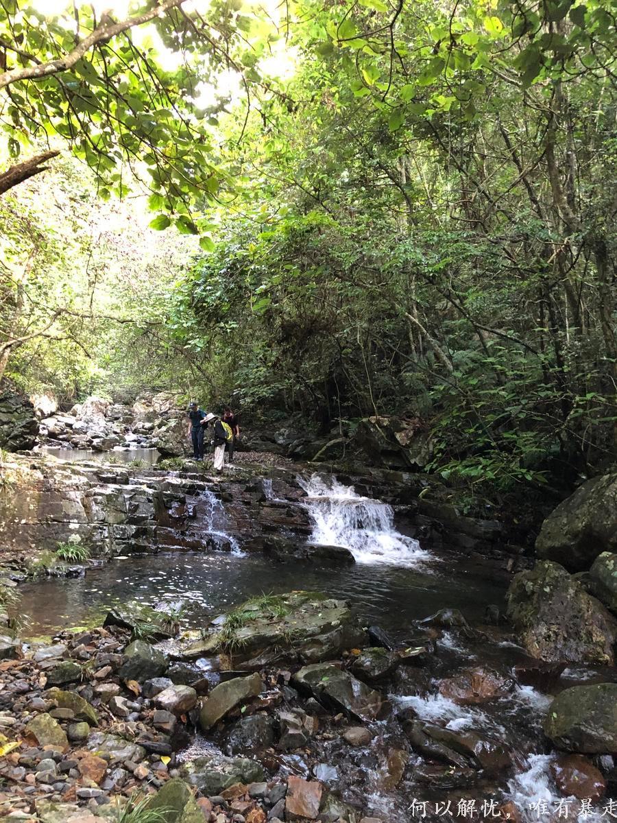 万绿湖20220806 (33)