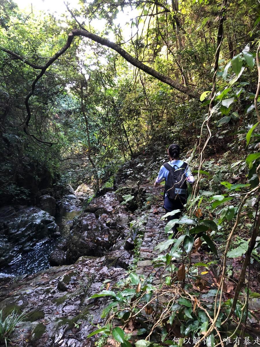 万绿湖20220806 (31)