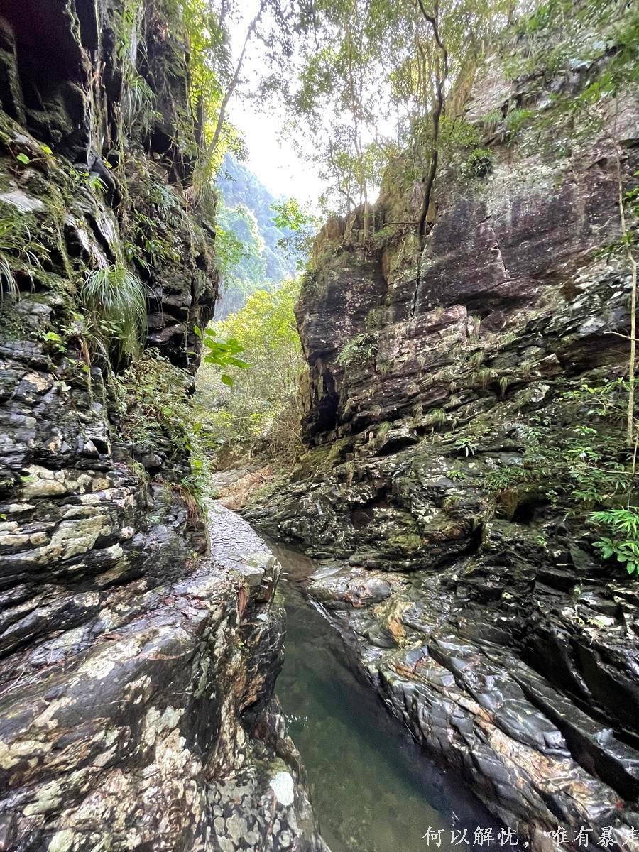 万绿湖20220806 (25)