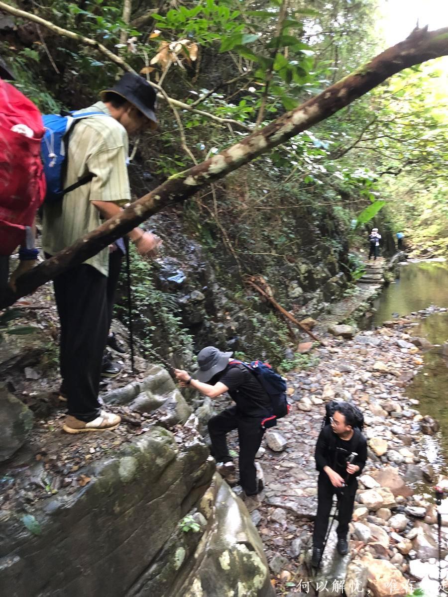 万绿湖20220806 (16)