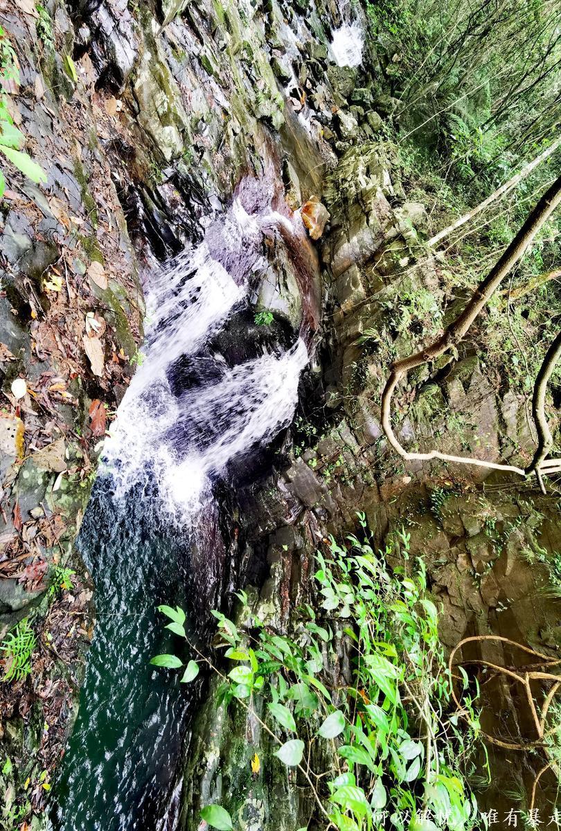 万绿湖20220806 (2)