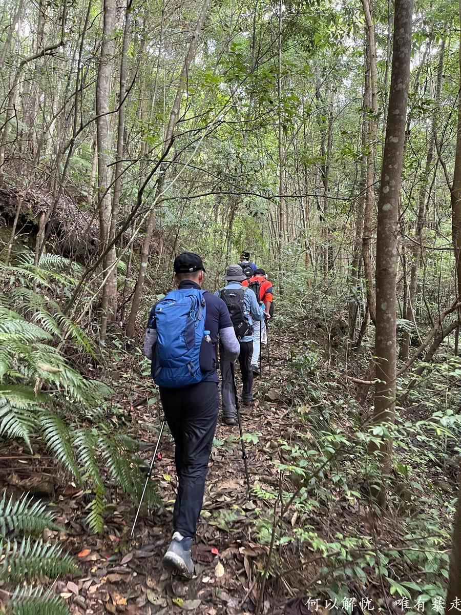 万绿湖20220806 (4)