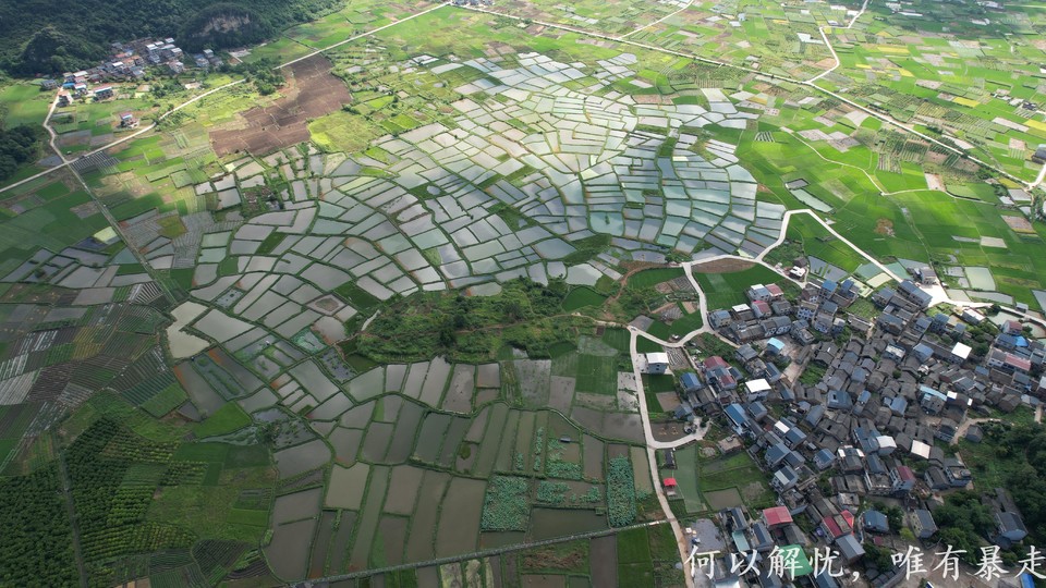 桂林山水20220807 (40)