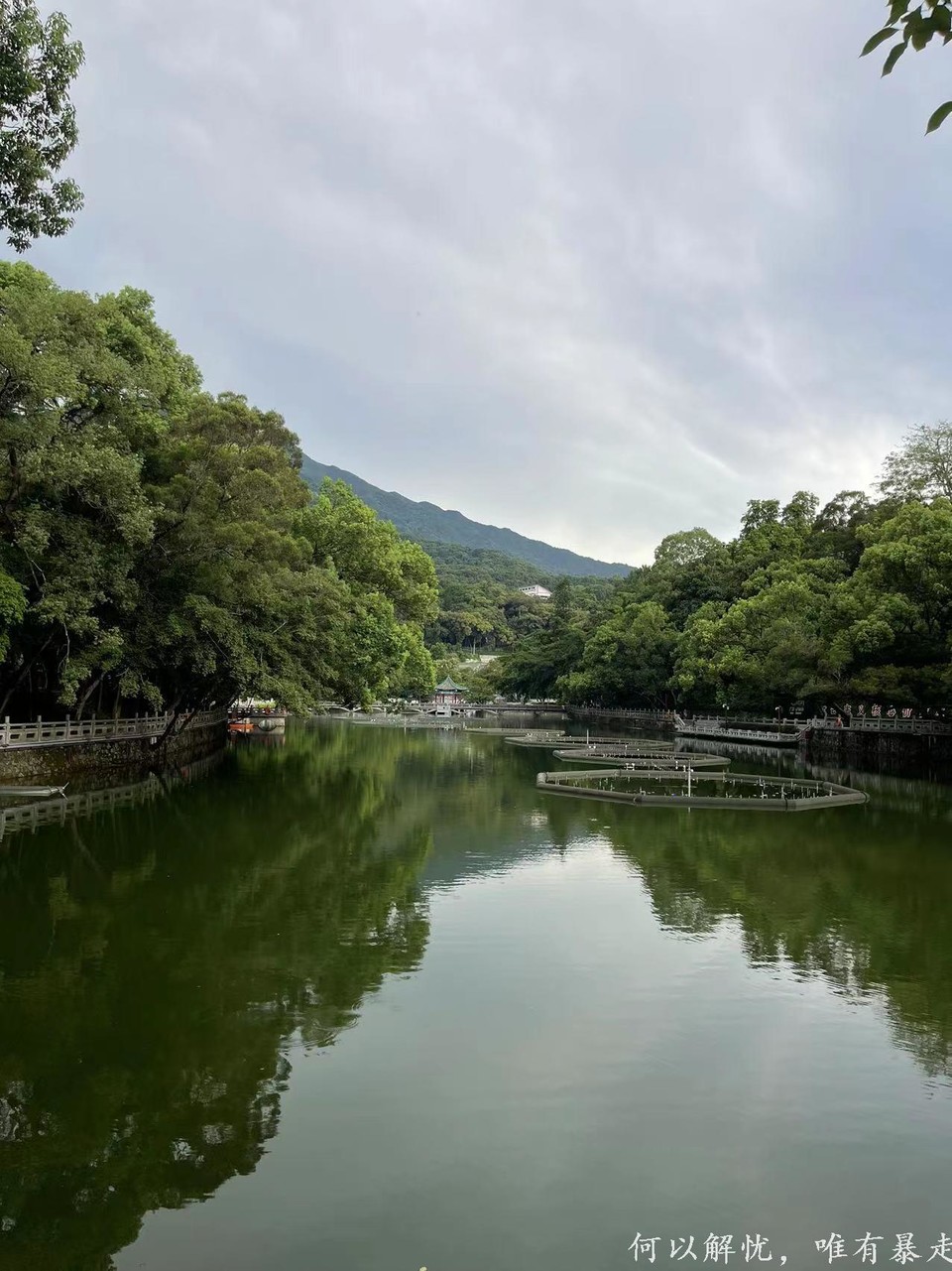 罗浮山 20220806 (43)