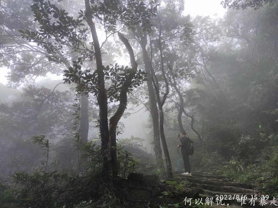 罗浮山 20220806 (46)