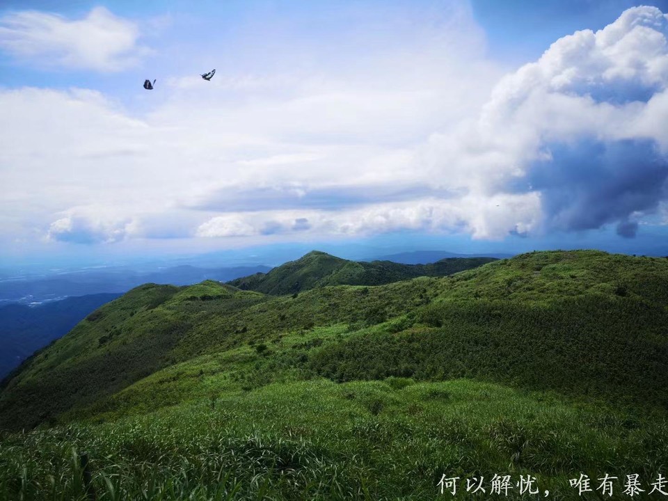 罗浮山 20220806 (47)