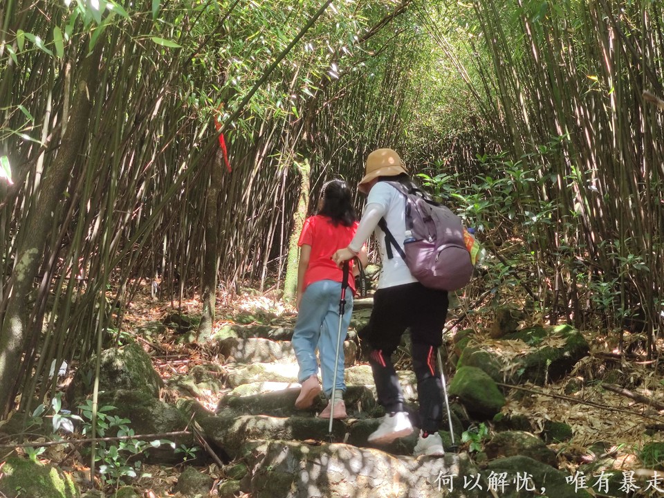 罗浮山 20220806 (80)