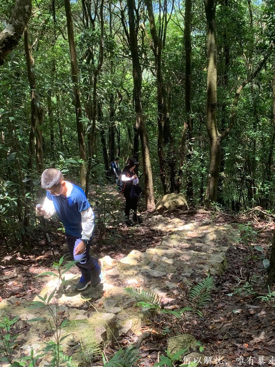 罗浮山 20220806 (67)