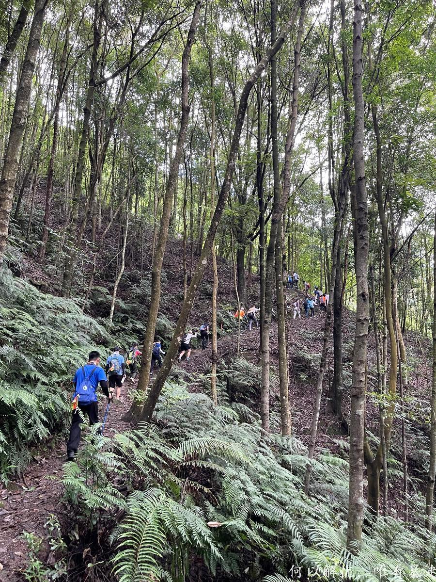 罗浮山 20220806 (62)