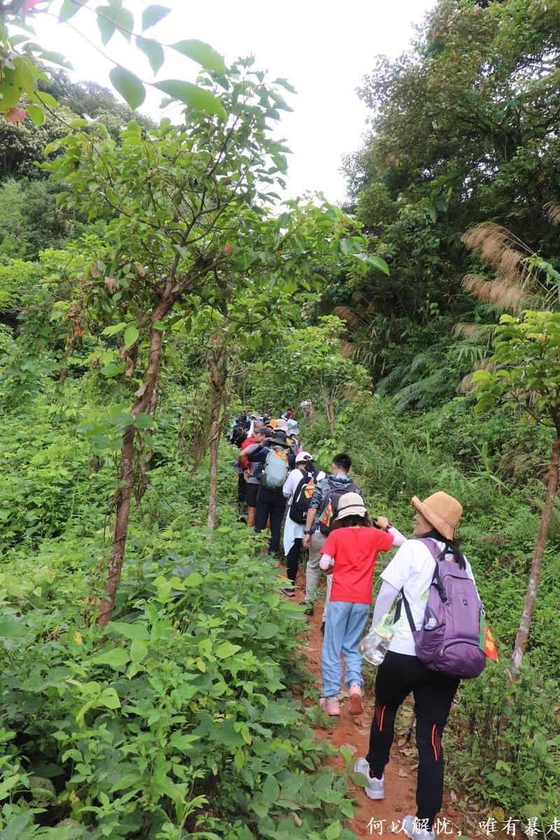 罗浮山 20220806 (53)