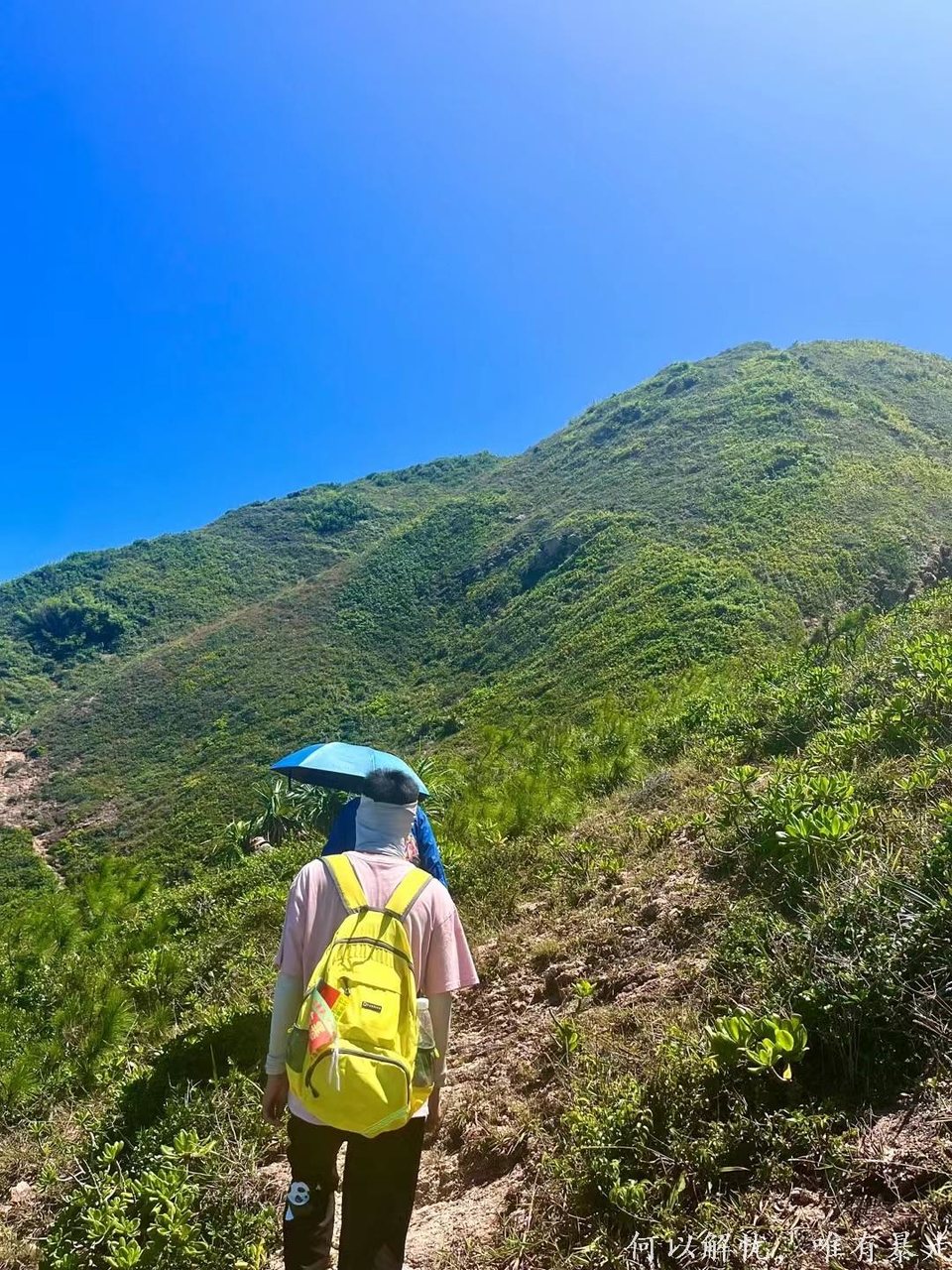 大星山 20220814 13