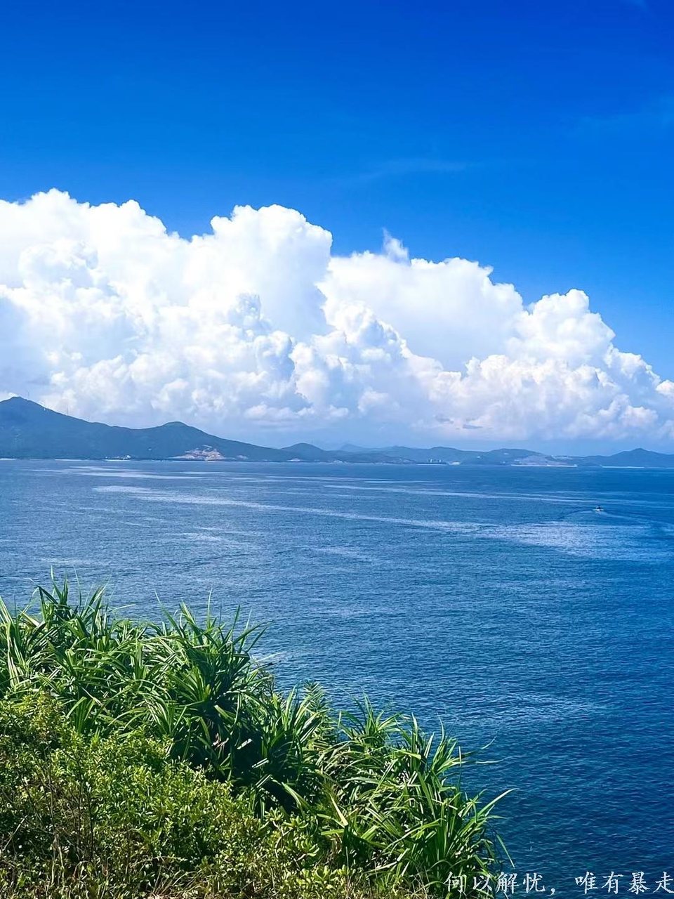 大星山 20220814 16