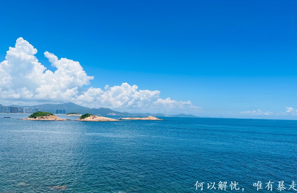 大星山 20220814 18