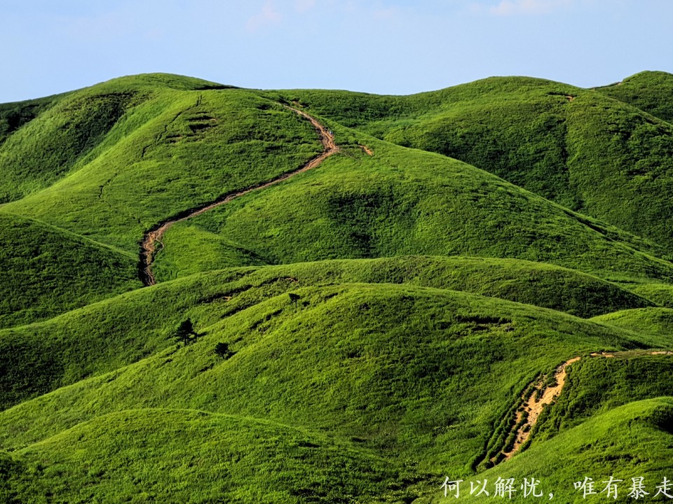 武功山 20220814 25