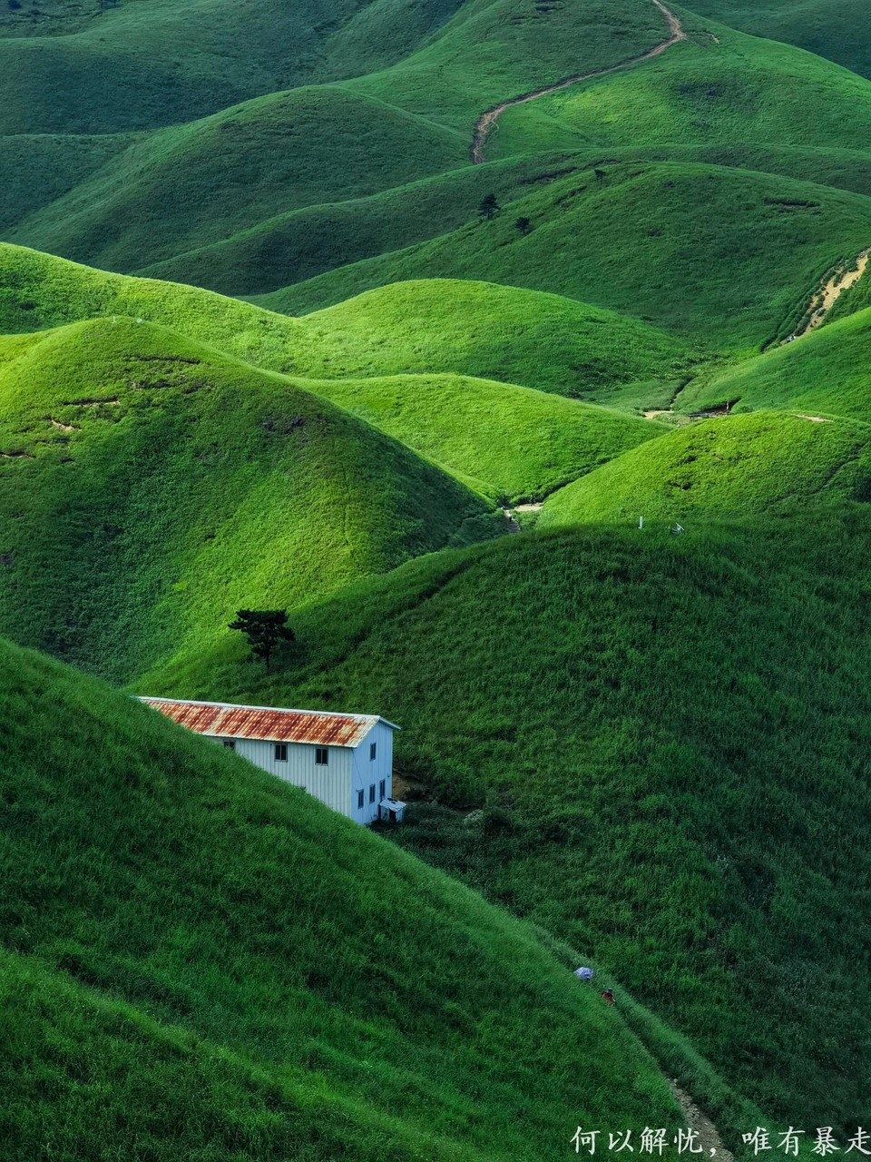 武功山 20220814 31