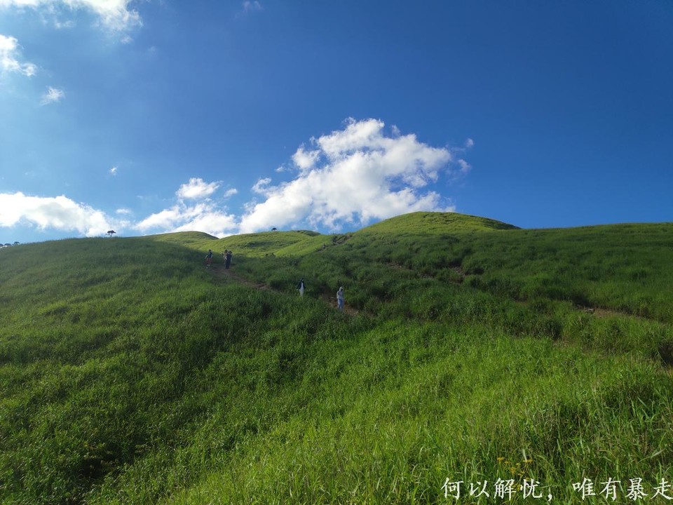 武功山 20220814 46