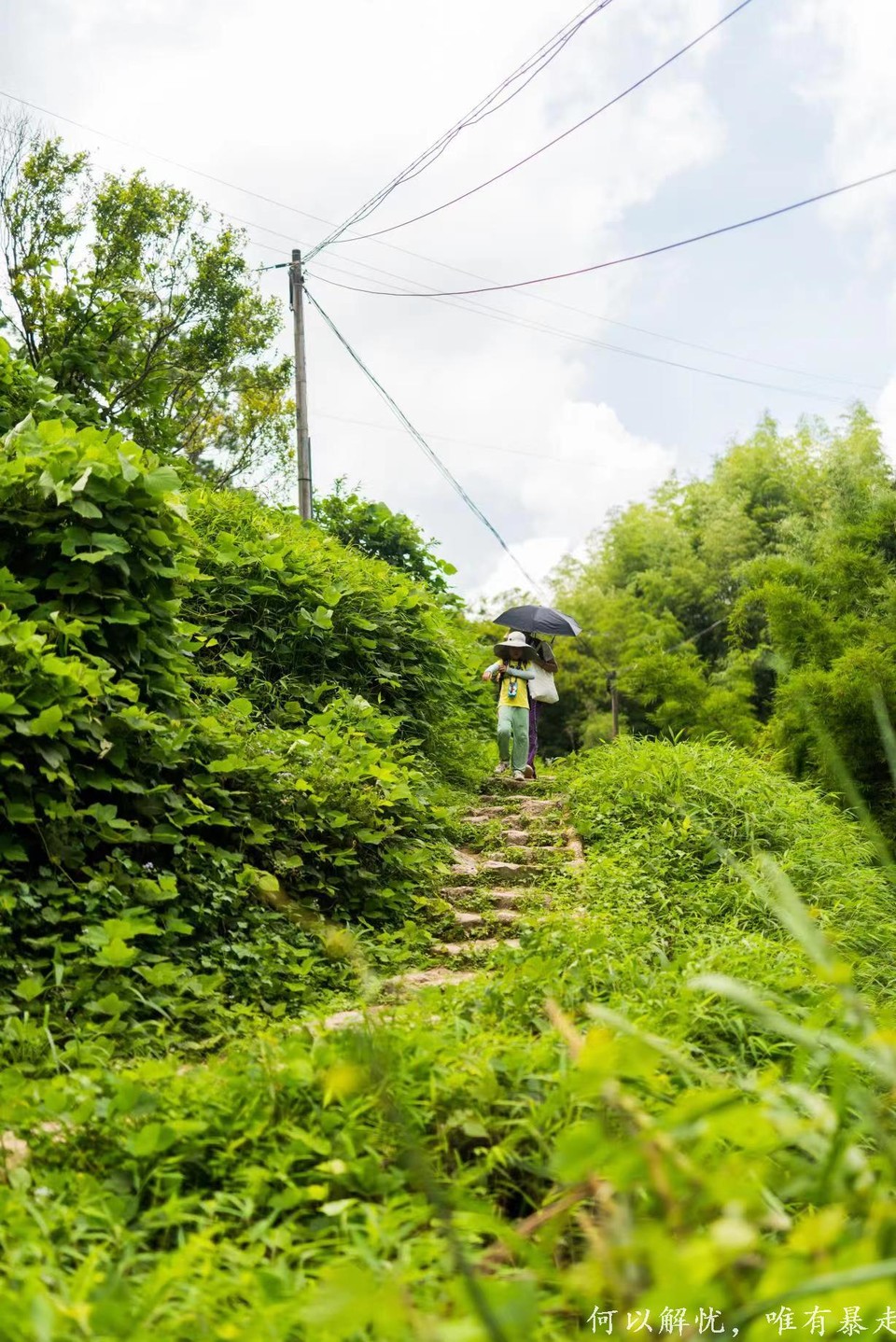 星溪线 20220828 (1)