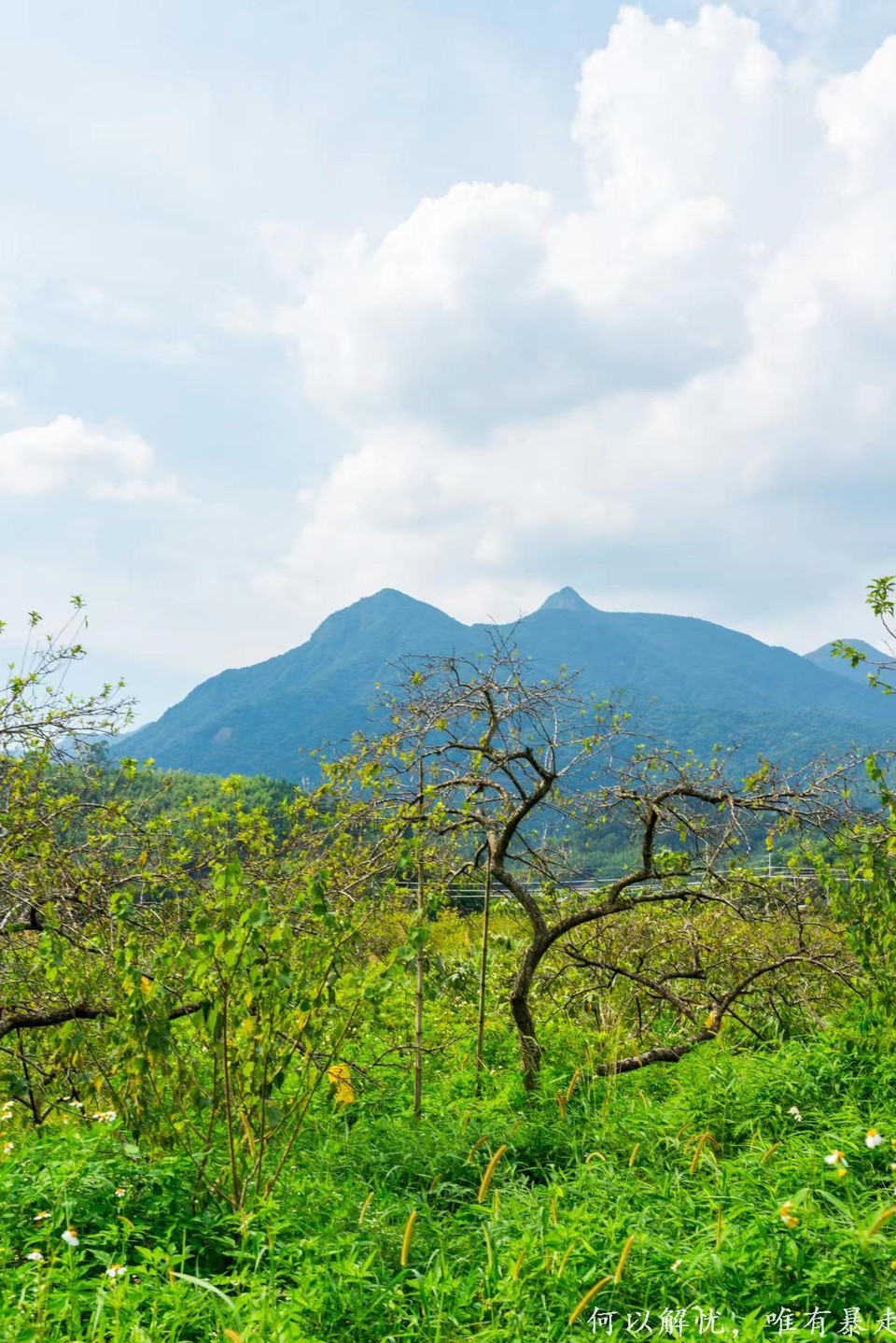 星溪线 20220828 (3)