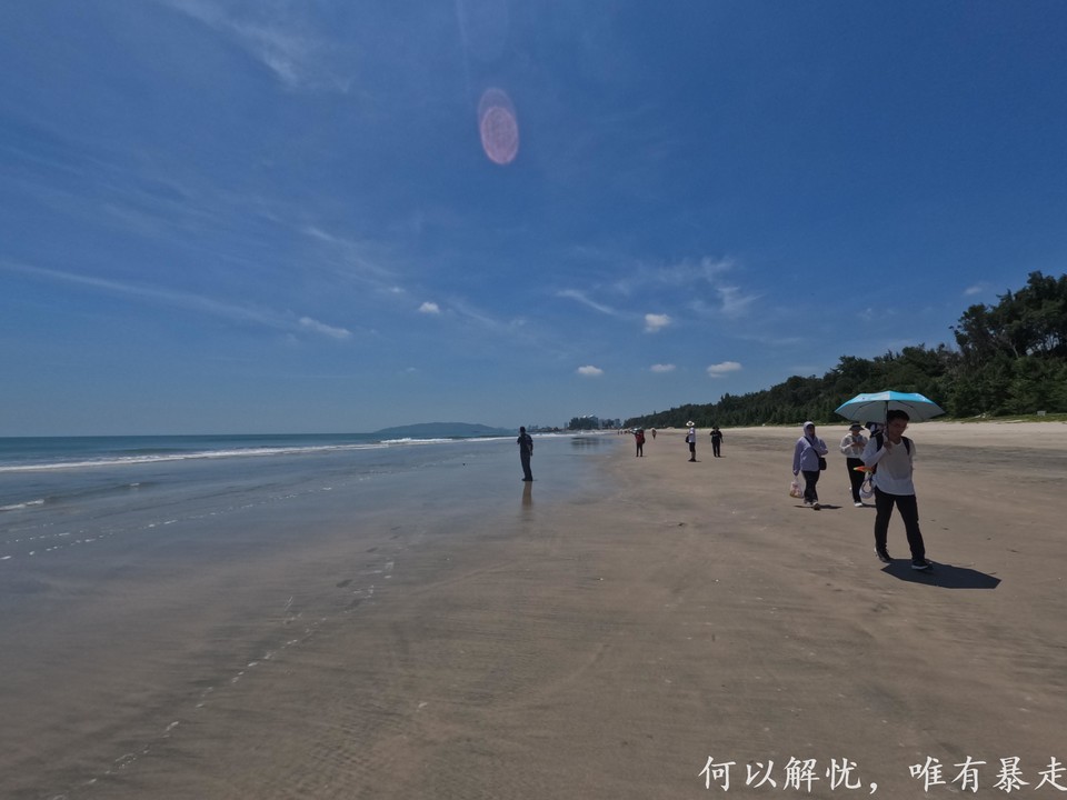 黑排角 20220827 (4)