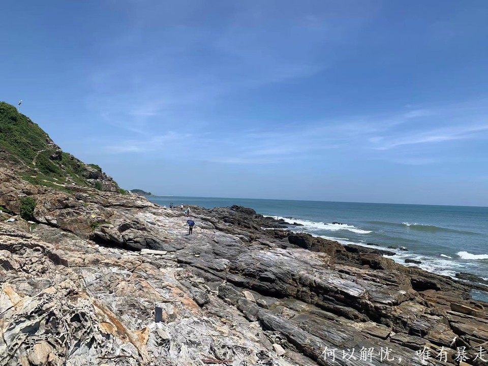 黑排角 20220827 (5)