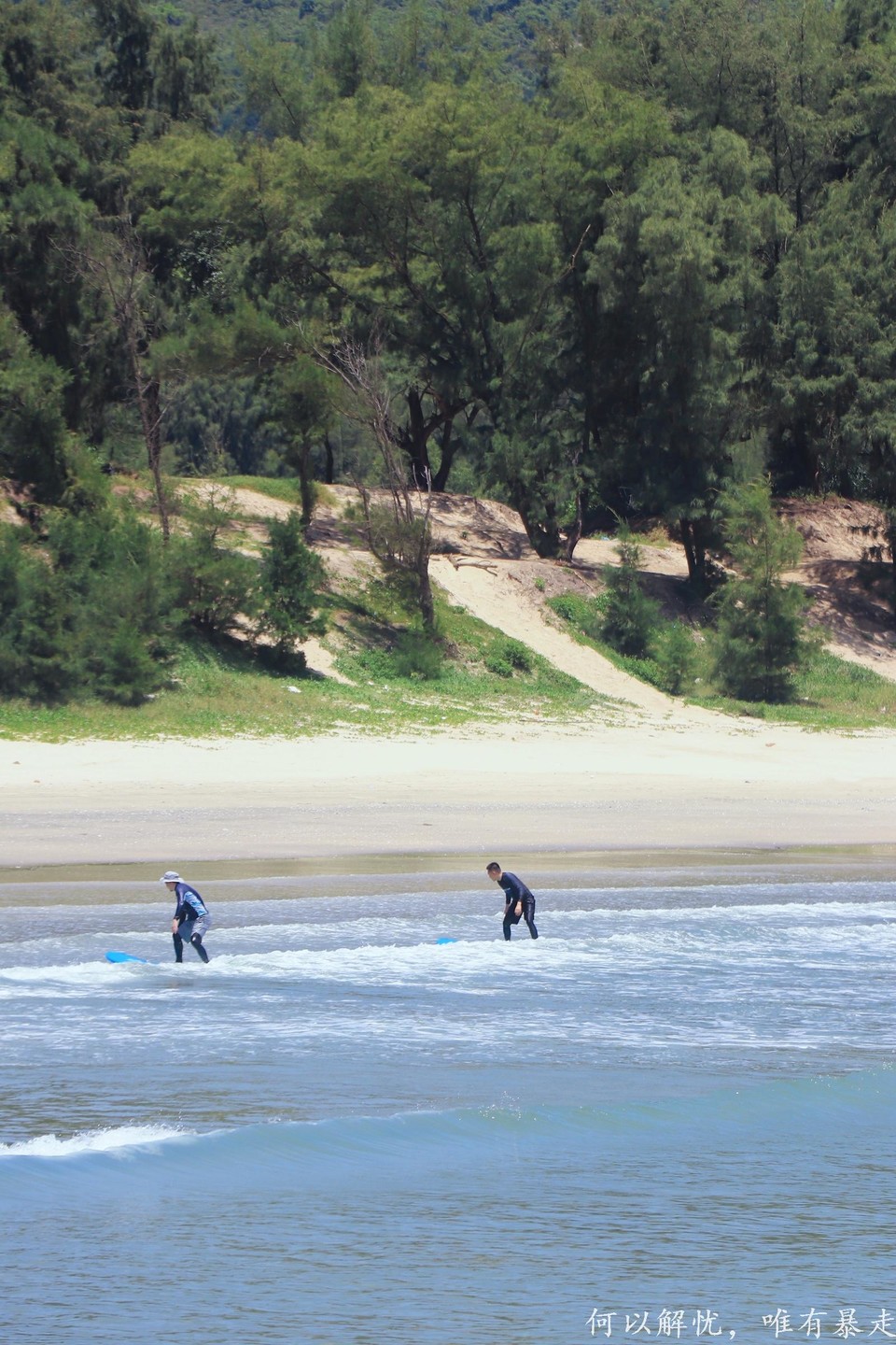 黑排角 20220827 (6)