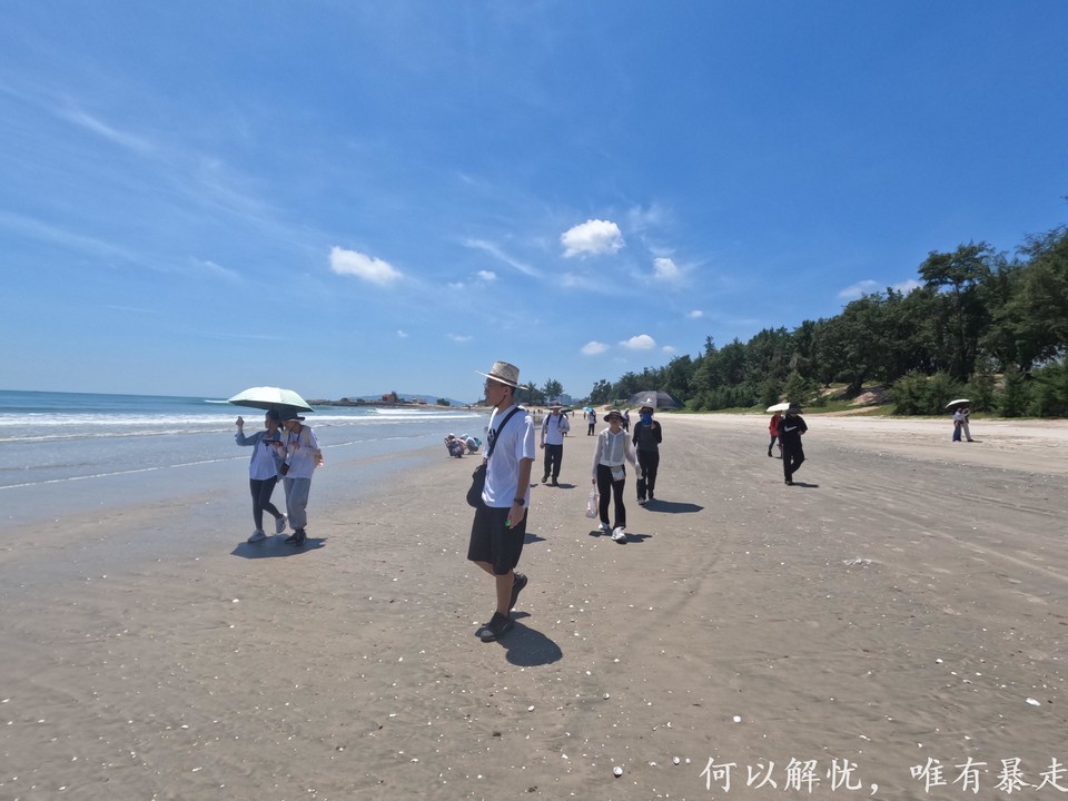 黑排角 20220827 (9)