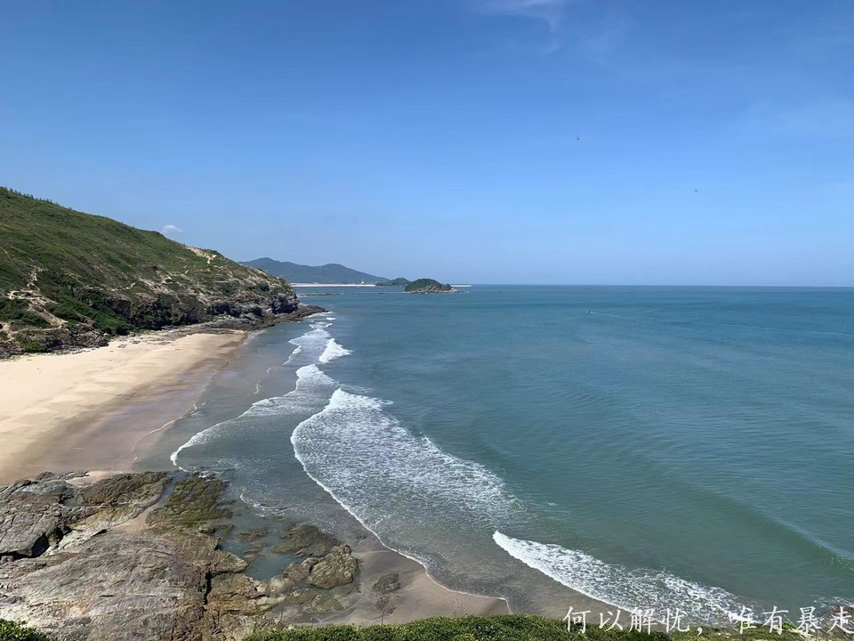 黑排角 20220827 (10)