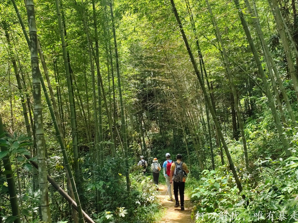 星溪线 20220828 (8)