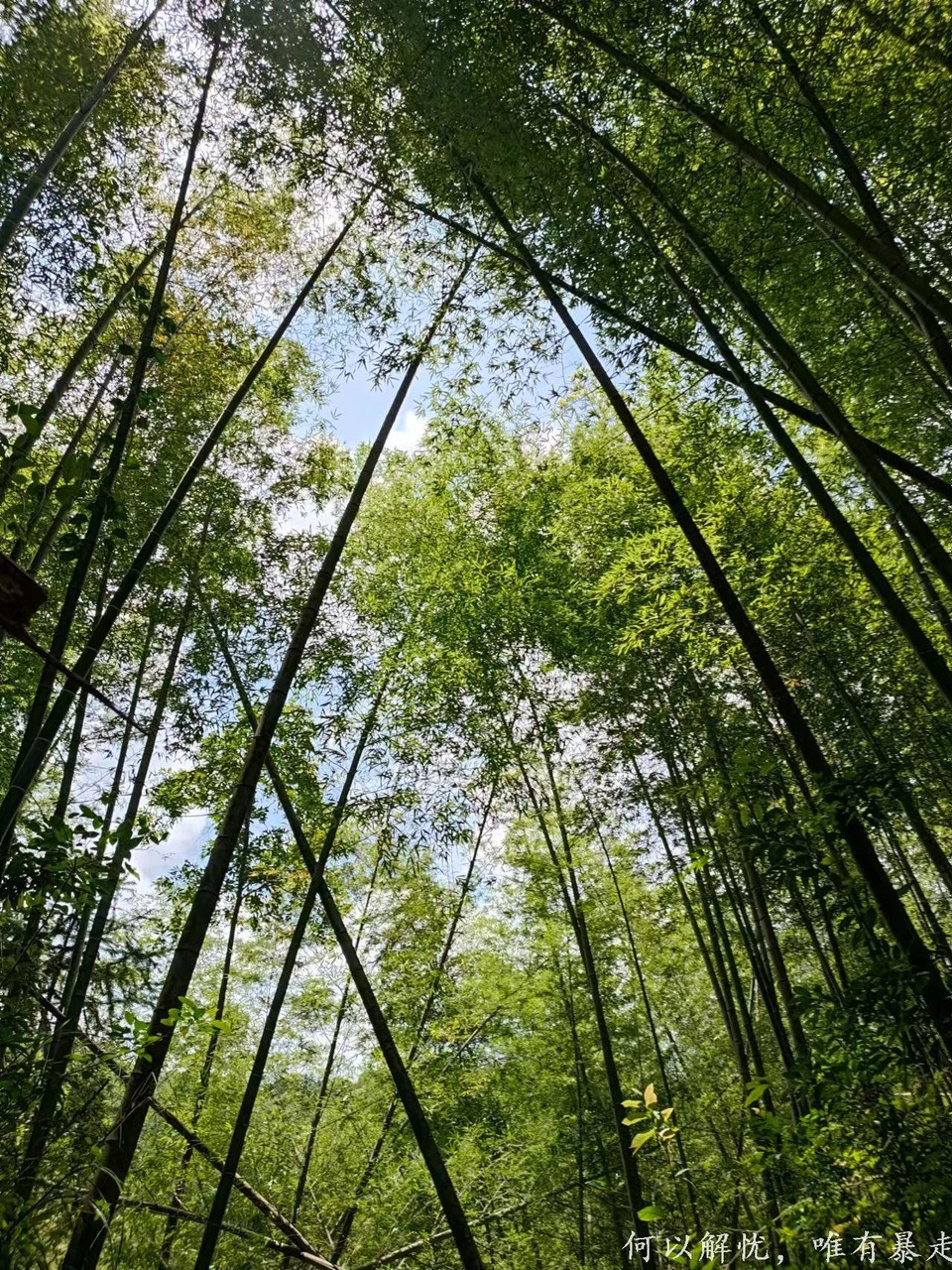 星溪线 20220828 (11)