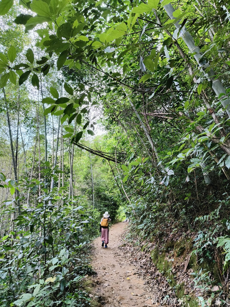 星溪线 20220828 (12)