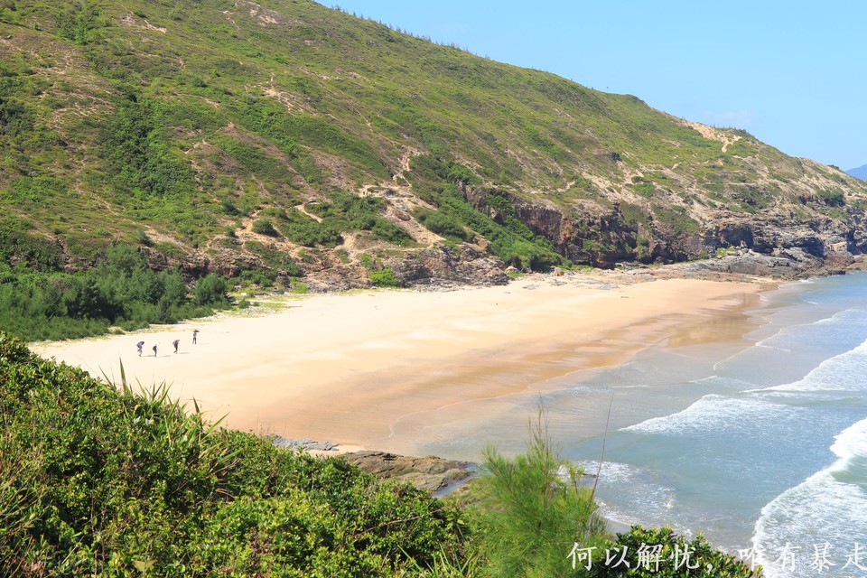 黑排角 20220827 (17)