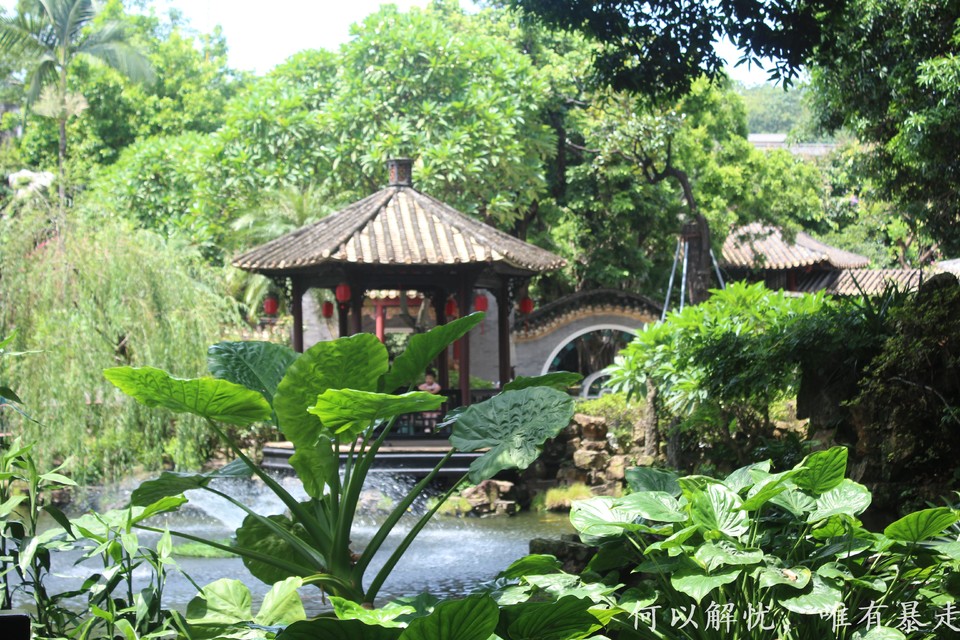 顺德 20220827 (11)