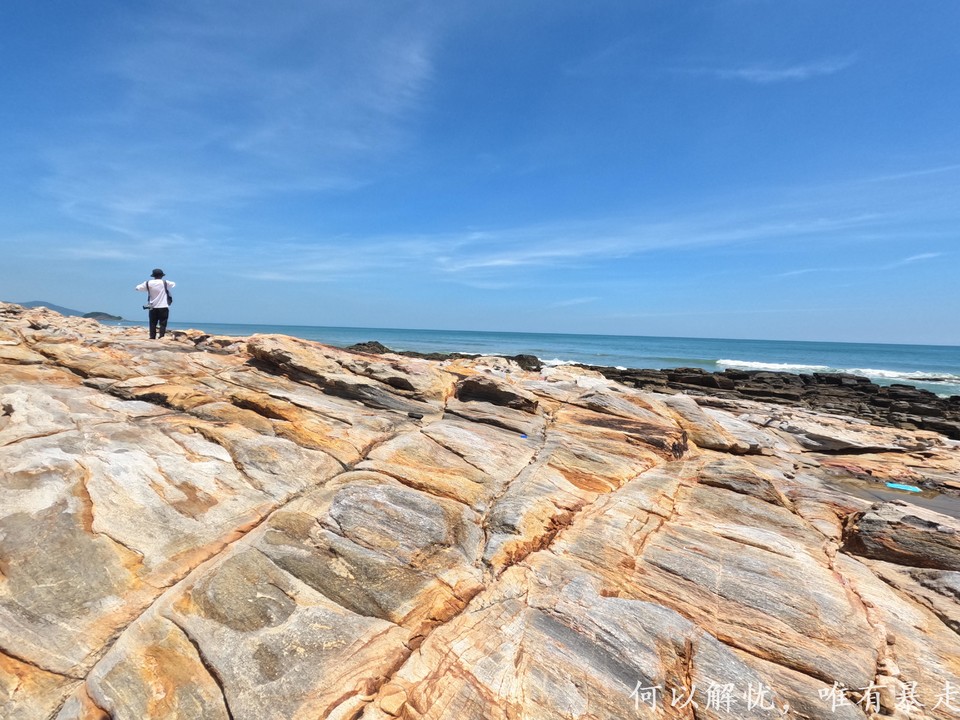 黑排角 20220827 (20)