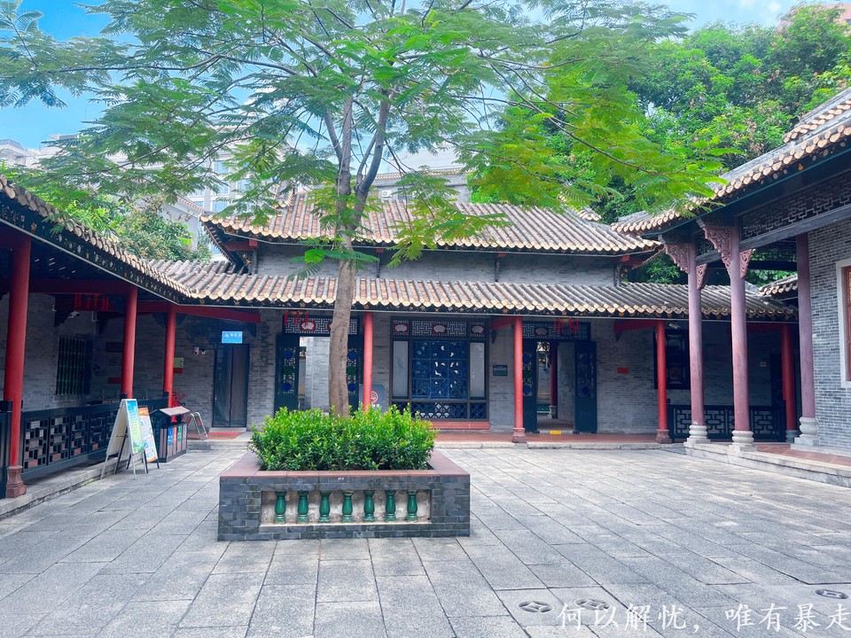 顺德 20220827 (12)