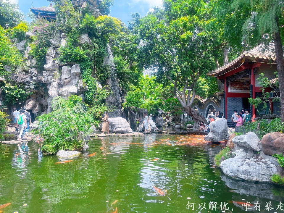 顺德 20220827 (13)