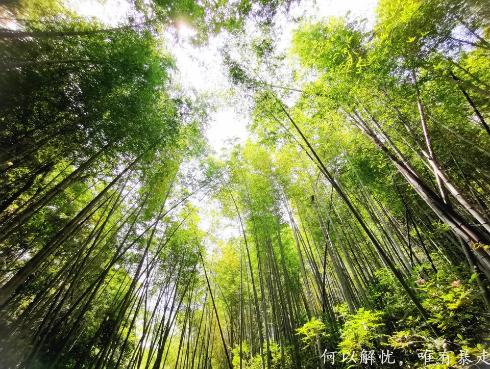 星溪线 20220828 (18)