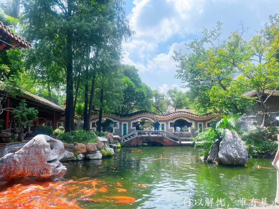 顺德 20220827 (14)