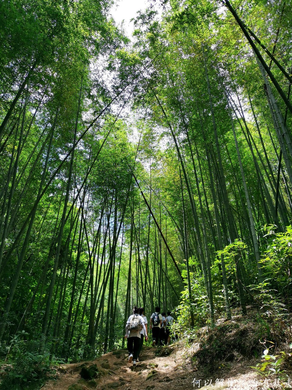 星溪线 20220828 (20)