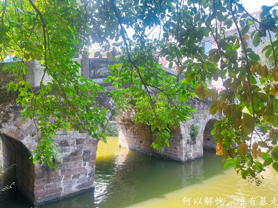 顺德 20220827 (16)