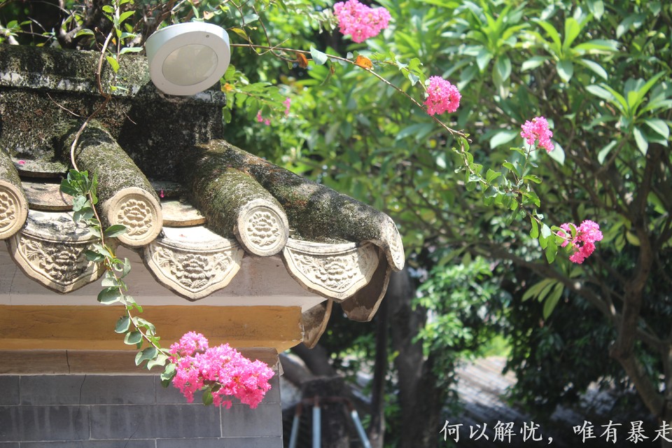 顺德 20220827 (22)