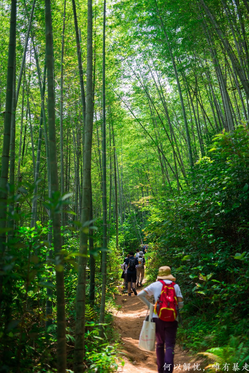 星溪线 20220828 (26)