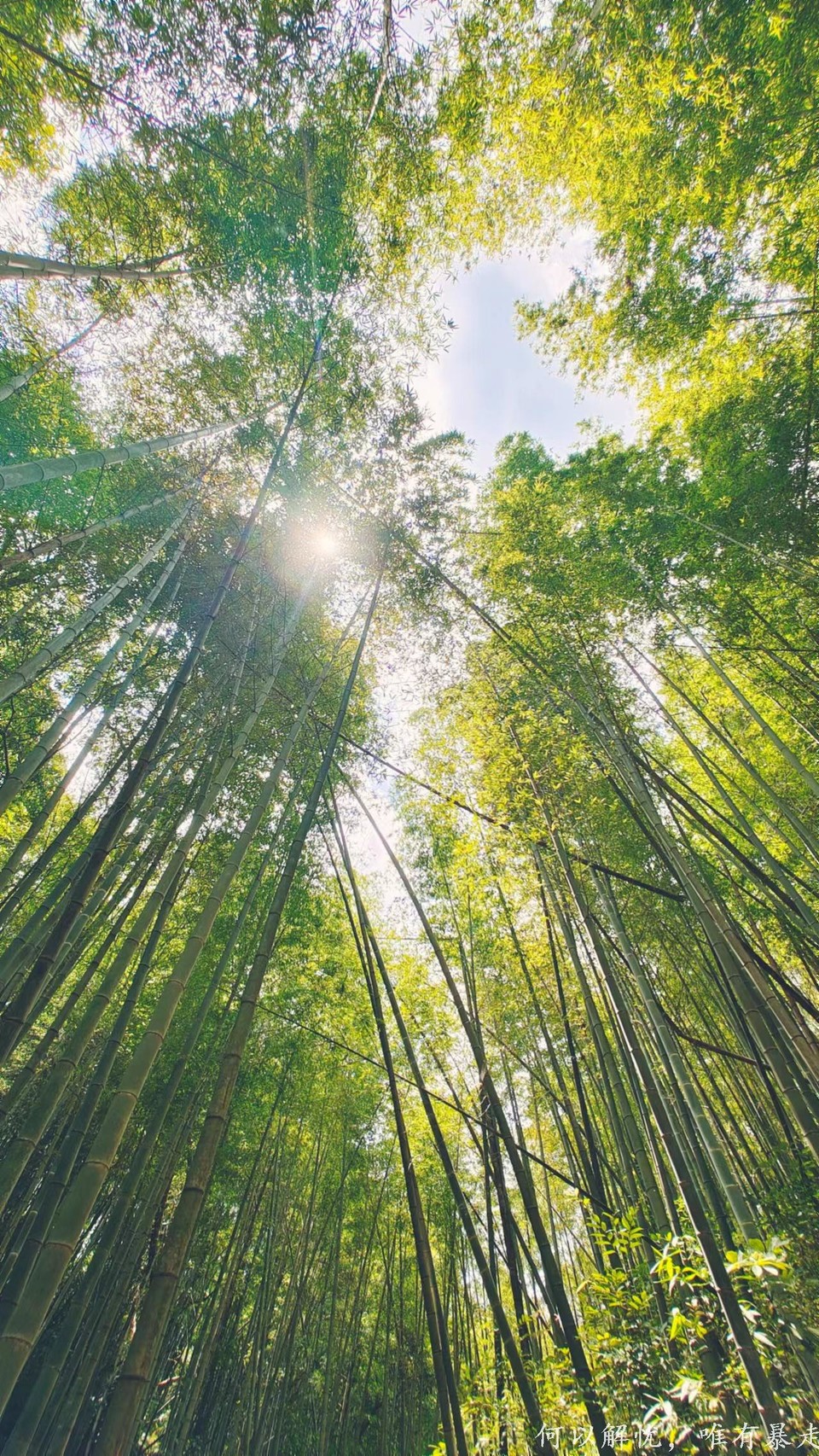 星溪线 20220828 (29)