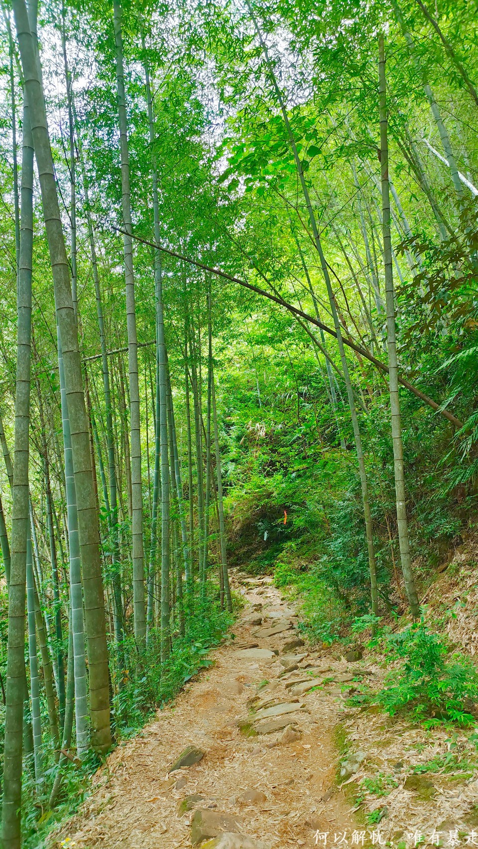 星溪线 20220828 (30)