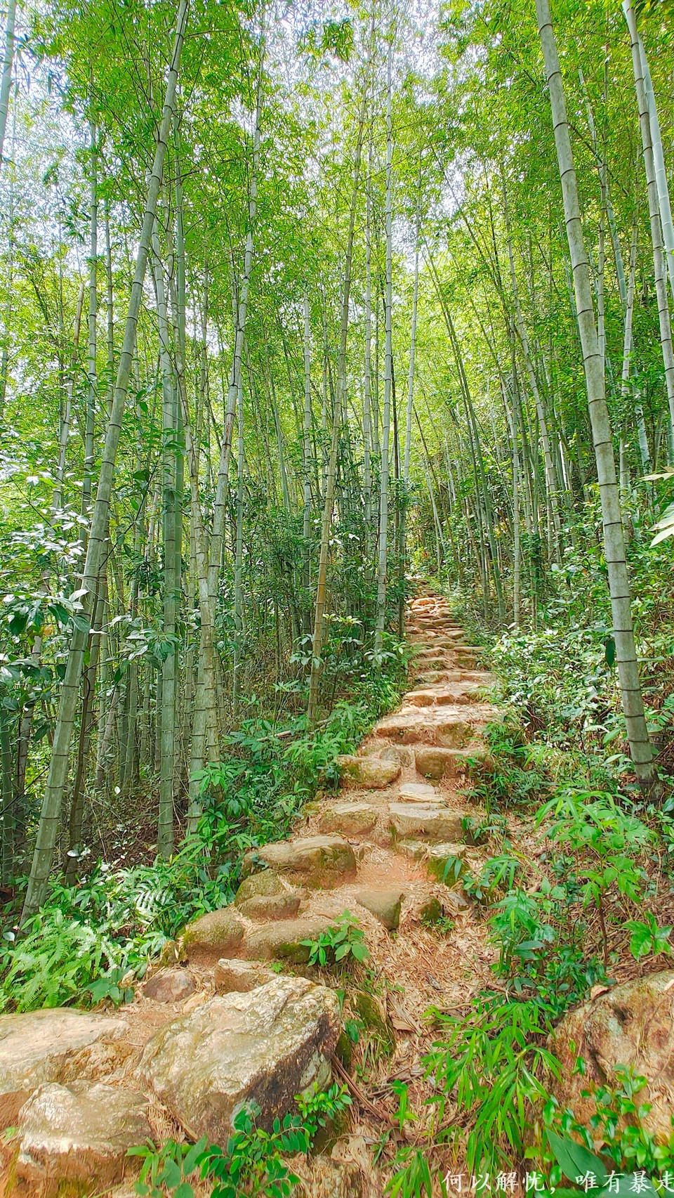 星溪线 20220828 (31)