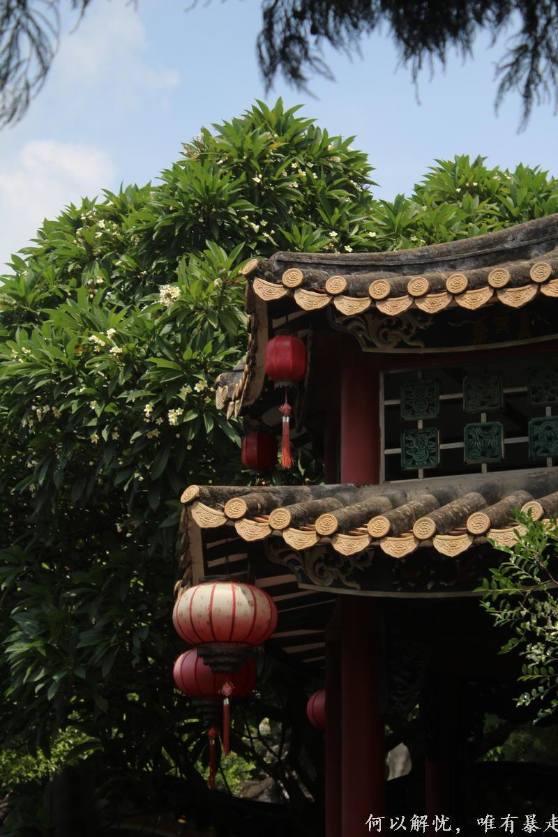 顺德 20220827 (18)