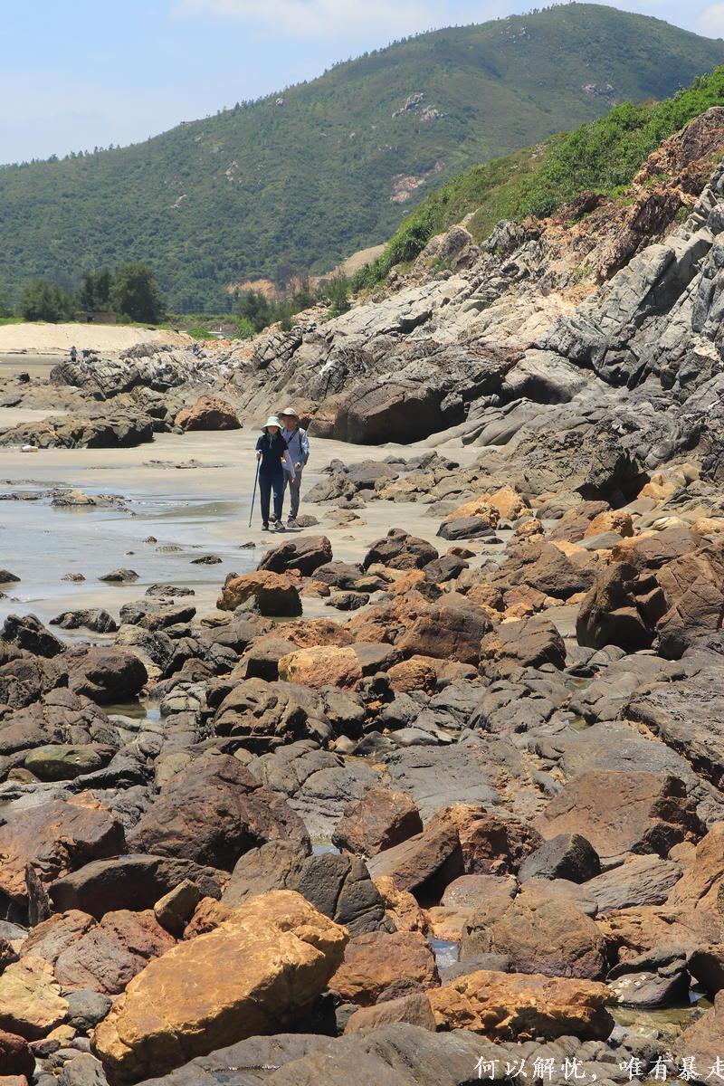 黑排角 20220827 (15)