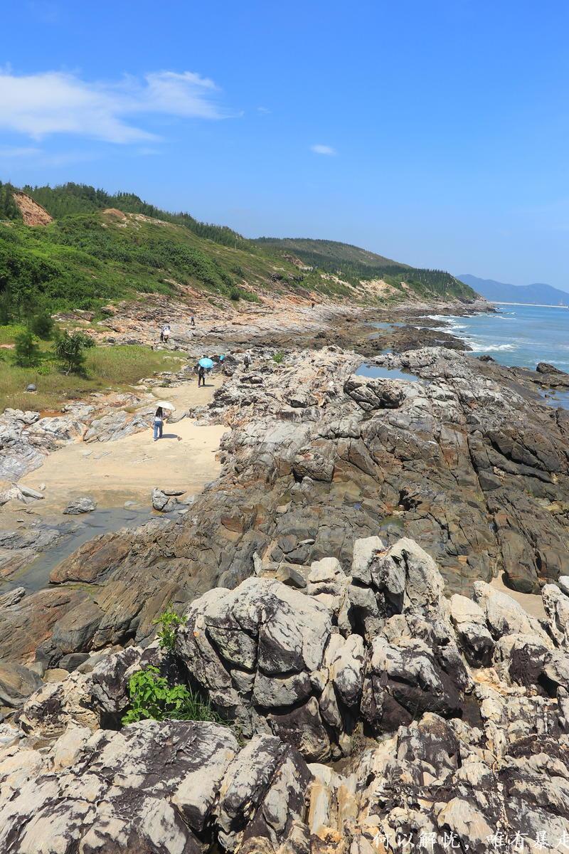 黑排角 20220827 (19)